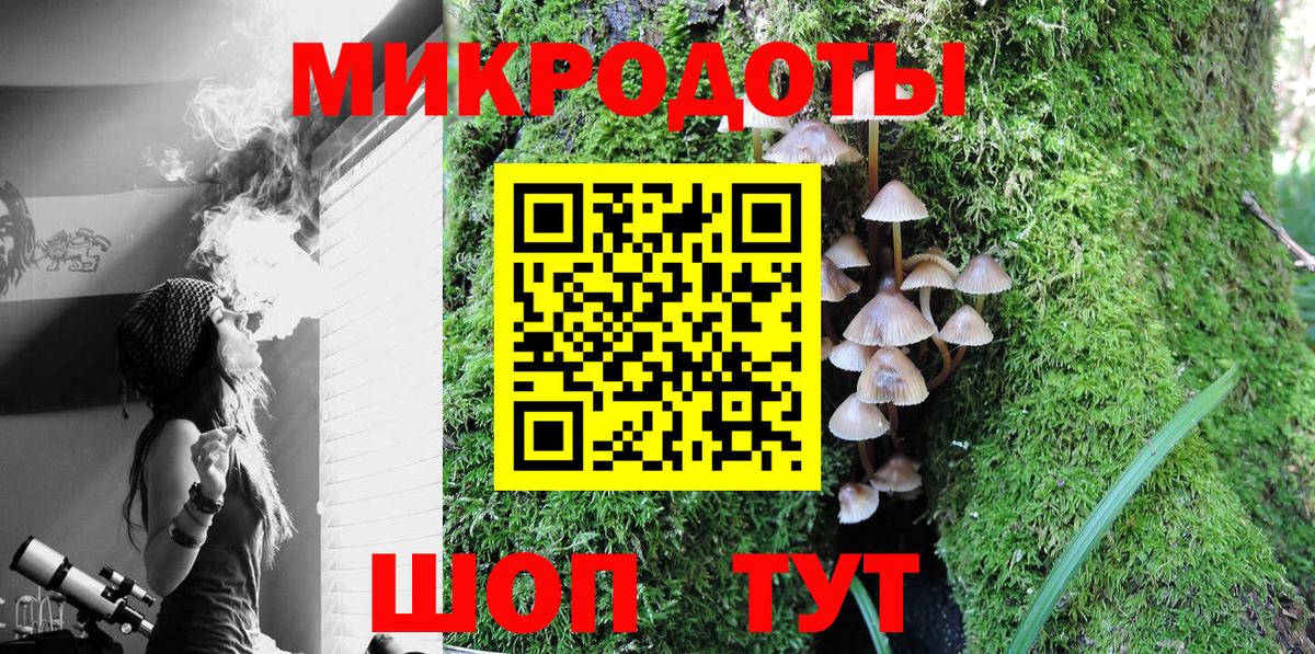 Галлюциногенные грибы Cubensis  Псилоцибиновые грибы мухоморы  Зеленогорск  Вход с VPN 