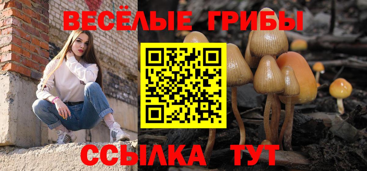Галлюциногенные грибы Cubensis Зеленогорск